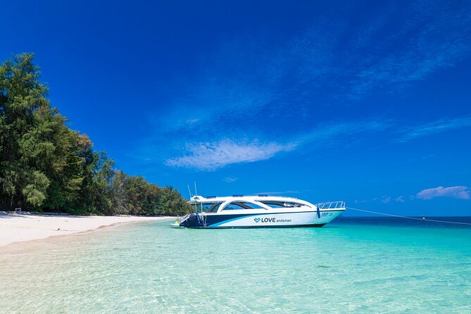 Phi Phi Speedboat Day Trip: Maya Bay, Bamboo & Seaview Lunch - Viking Cave and Monkey Beach: quick scenic stops that move fast