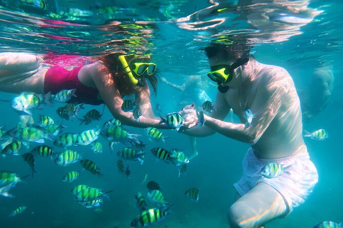 Phuket 3 Khai Island Speedboat With Snorkeling (Half or Full Day) - Khai Nok Island: pristine sand plus entry-level snorkeling