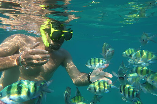 Phuket 3 Khai Island Speedboat With Snorkeling (Half or Full Day) - Pickup times and the fastest route to 4-TAC, VGA Vacation Pier