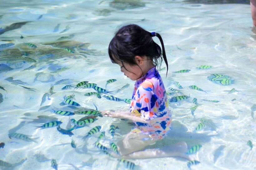 Phuket: 3 Khai Islands Relax & Snorkeling Half/Full Day Tour - Khai Nui Island: jump-in snorkeling at a tiny reef spot