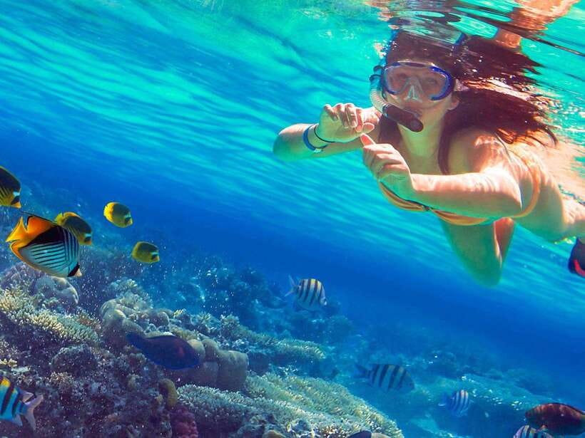 Phuket: 3 Khai Islands Snorkeling Tour - Khai Nai (Cat Island): beach time, cats, and easy snorkeling