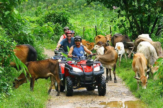 Phuket ATV Seaview On Tour - Should You Book Phuket ATV Seaview On Tour?