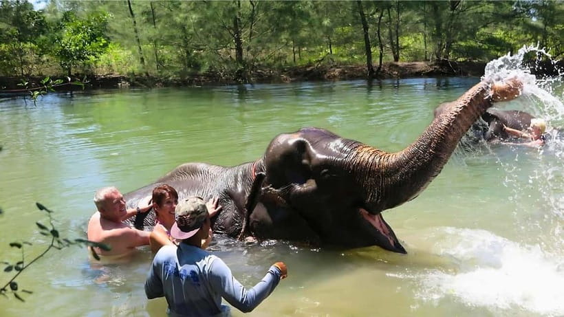 Phuket: Bamboo Rafting & ATV Ride (Optional) - Phuket Bamboo Rafting, Turtle Centre, Monkey Cave, Waterfall: How the Day Really Flows