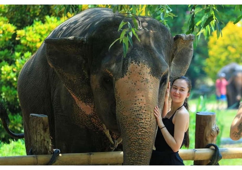 Phuket: Bamboo Rafting & ATV Ride (Optional) - Price and Value: Why $54 Can Work (If You Like This Mix)