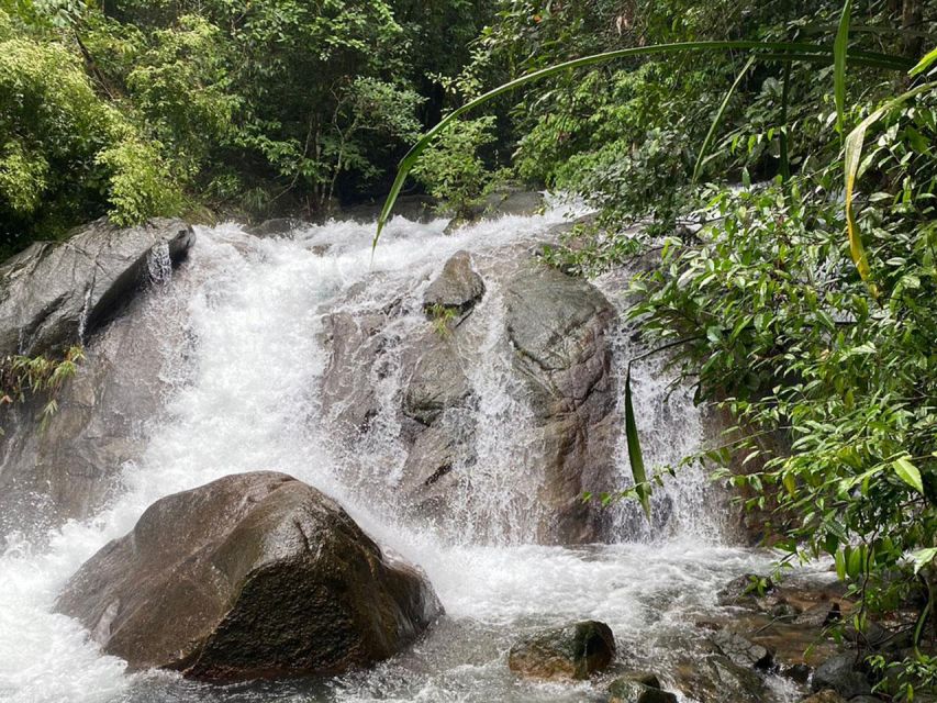 Phuket: Bamboo Rafting, Monkey Cave, and ATV Option - The Big Value Question: Is It Worth About $56?