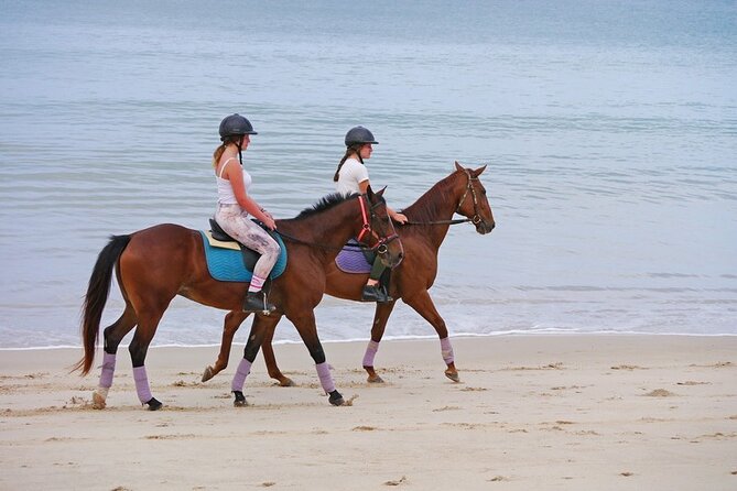 Phuket Beach and Horse Rides 1 Hour Experience - The Main Event: A Relaxed 1-Hour Ride Along Phuket’s Beach