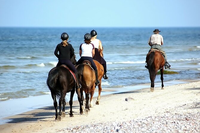 Phuket Beach and Horse Rides 1 Hour Experience - Family Details: Ages, Weight Limits, and What to Wear
