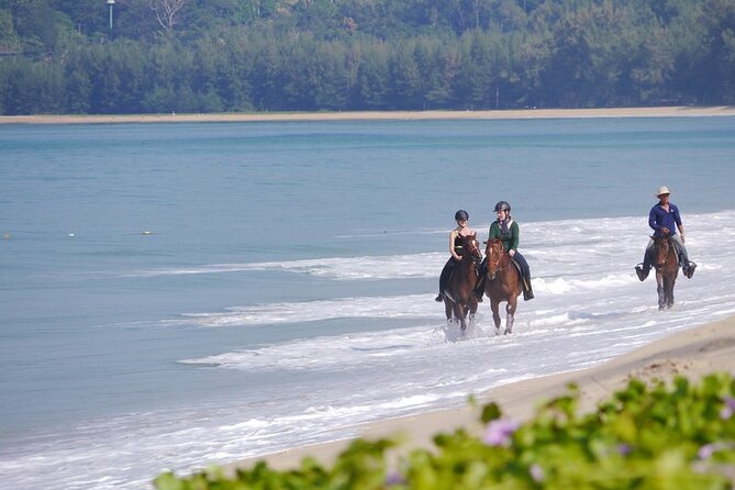 Phuket Beach and Horse Rides 1 Hour Experience - Timing and Why Being On-Time Can Affect Your Beach Minutes