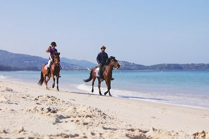 Phuket Beach and Horse Rides 1 Hour Experience - Weather and Safety: Why This Ride Feels Controlled