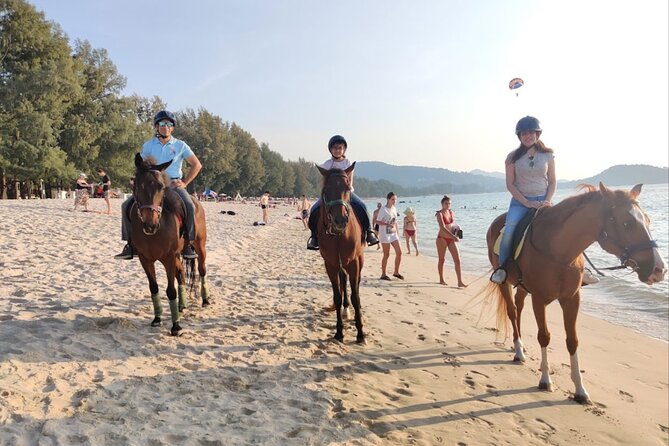 Phuket Beach and Horse Rides 1 Hour Experience - Beginner-Friendly Coaching: Walk, Trot, and How Control Actually Feels