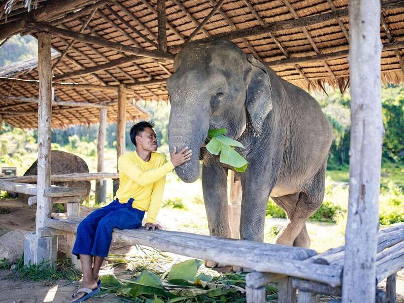 Phuket: Bukit Elephant Park Sanctuary Walk and Feed Tour - Photo Opportunities: How To Capture the Moment Without Breaking Rules