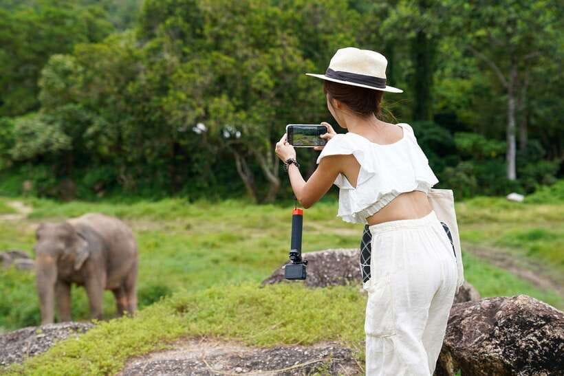 Phuket: Bukit Elephant Park Sanctuary Walk and Feed Tour - Who Should Book This, and Who Might Skip It