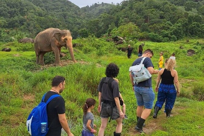 Phuket City Tour & Elephant Sanctuary – Town, Temple, Food & View - How the 6-hour loop in Phuket City really plays out