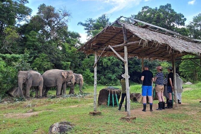 Phuket City Tour & Elephant Sanctuary – Town, Temple, Food & View - Wat Chalong temple time: lotus folding and fortune-stick style fun