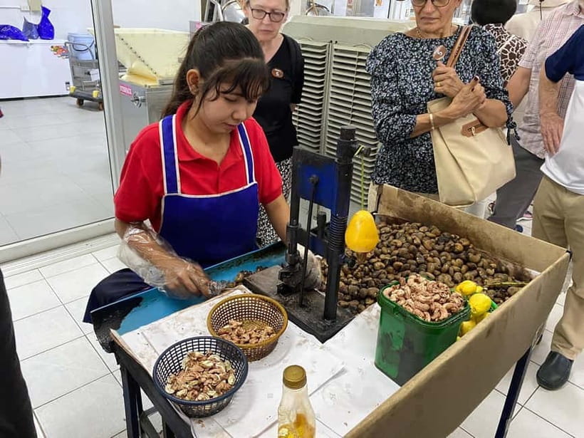 Phuket City Tour with Night Market Visit & Elephant Feeding - How This 6-Hour Phuket Tour Actually Moves