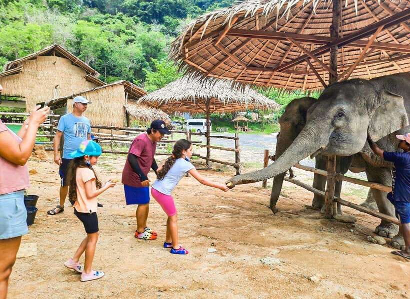 Phuket City Tour with Viewpoints, Temples & Elephant Feeding - Phuket in One Day: The Smart Mix of Views, Temples, and Elephants