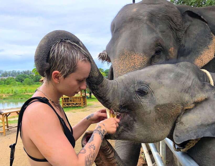 Phuket City Tour with Viewpoints, Temples & Elephant Feeding - Cashew Nut Factory: A Short, Interesting Phuket Side Trip