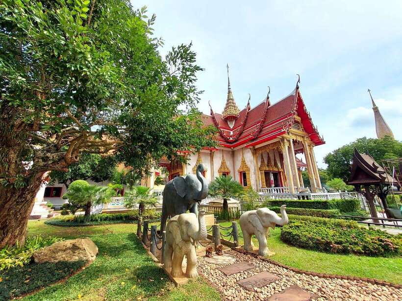 Phuket City Tour with Viewpoints, Temples & Elephant Feeding - Khao Rang Hill Observation Deck: Views Plus Wild Monkey Encounters