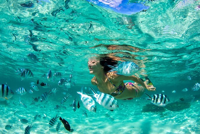 Phuket Coral Island Private Snorkeling Adventure All Inclusive - Key things I’d plan around