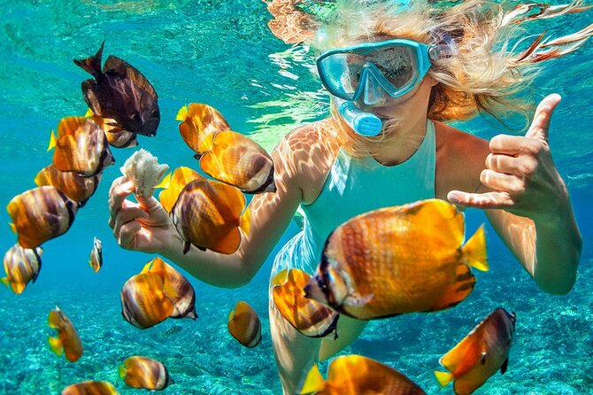 Phuket Coral Island Private Snorkeling Adventure All Inclusive - Coral Island time: turtles, snorkeling gear, and a lot of water hours