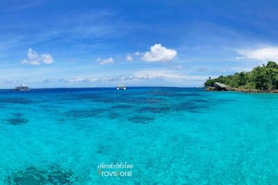 Phuket: Coral Island Trip and SunSet Cruise by Catamaran Yatch - What you’ll do at Coral Island: swim, snorkel, and choose your energy level