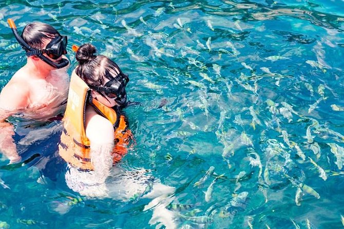 Phuket Dolphin Quest: Racha & Maiton Island Expedition - Lunch on Racha Island: convenient, but don’t over-hype it