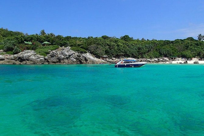 Phuket Dolphin Quest: Racha & Maiton Island Expedition - Snorkeling you’ll actually enjoy: timing, group size, and comfort tips
