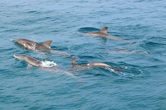 Phuket Dolphin Quest: Racha & Maiton Island Expedition - Racha Yai and Racha Noi snorkeling: where the reef time comes from