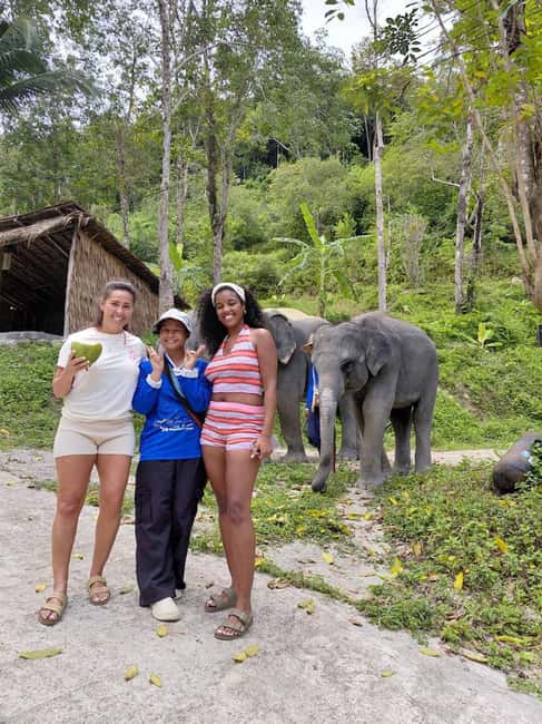 Phuket: Eco Guided Tour at Elephant Sanctuary - How ethical elephant tourism works here: calm rules matter