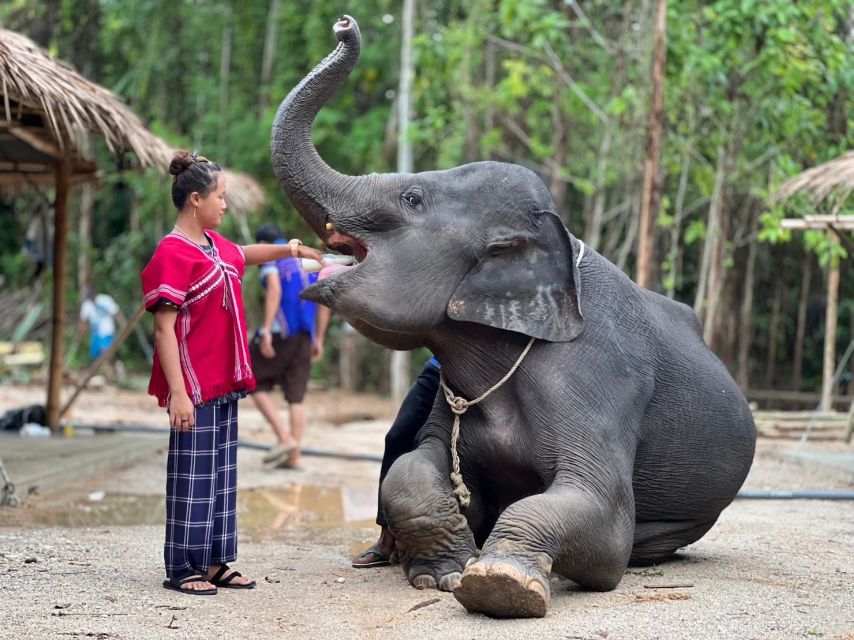 Phuket: Elephant Experience with Lunch or Dinner and Pickup - Photos and souvenir shorts: getting your memories and what to watch
