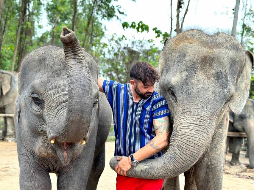 Phuket: Elephant Experience with Lunch or Dinner and Pickup - Kerchor Elephant Family Phuket: what kind of elephant day is this?