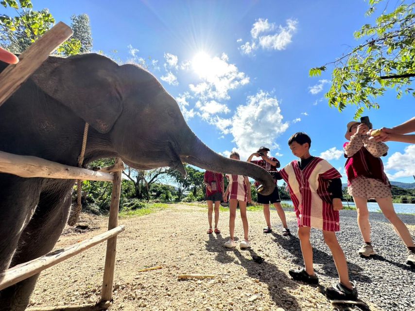 Phuket: Elephant Experience with Lunch or Dinner and Pickup - Mahout outfit, coffee cookies, and Karen culture talk