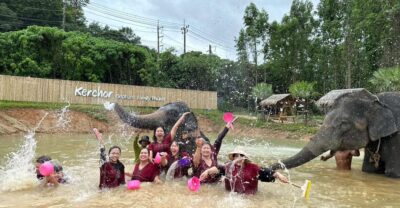 Phuket: Elephant Experience with Lunch or Dinner and Pickup - Getting to the park from your Phuket hotel: pickup times and how long it takes