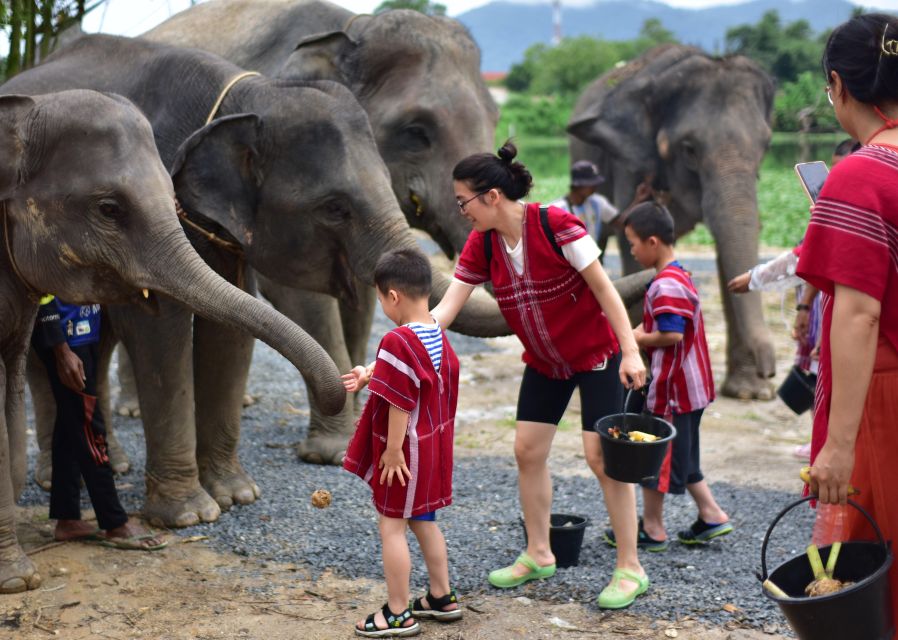 Phuket: Elephant Experience with Lunch or Dinner and Pickup - Preparing elephant food and feeding baby elephants
