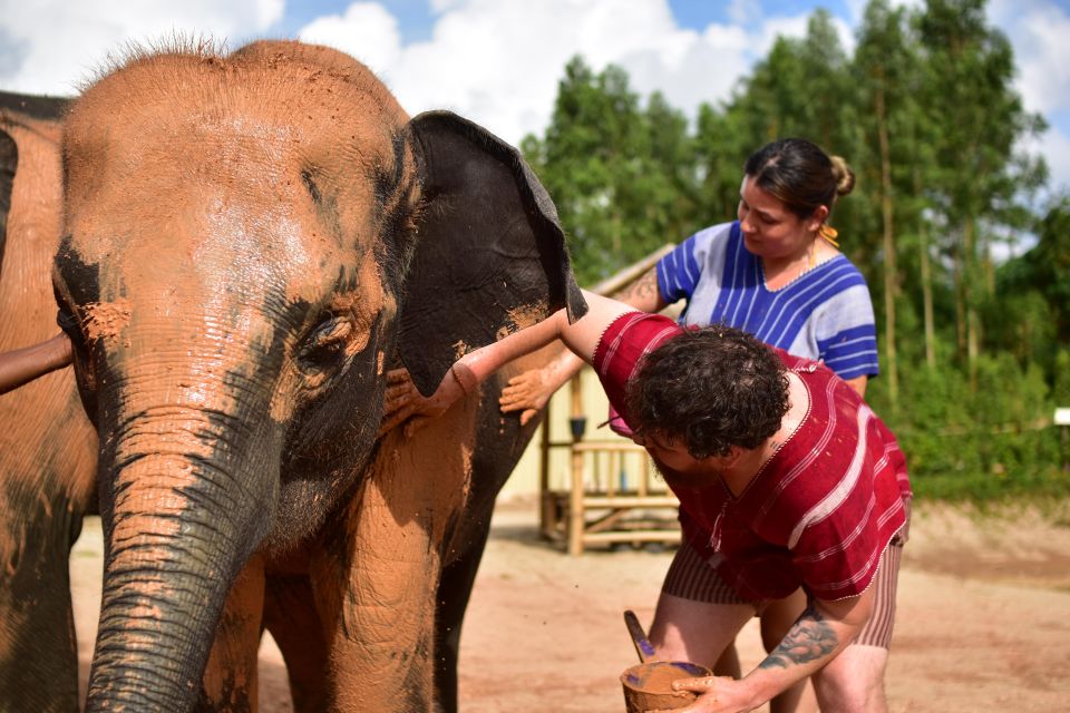 Phuket: Elephant Experience with Lunch or Dinner and Pickup - Thai buffet lunch or dinner: included, practical, and generally satisfying