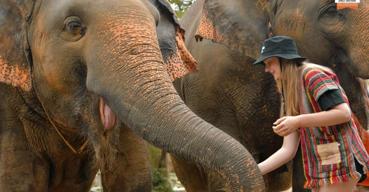 Phuket: Elephant Jungle Sanctuary Ethical Feeding Experience - Key things I’d watch for before you go