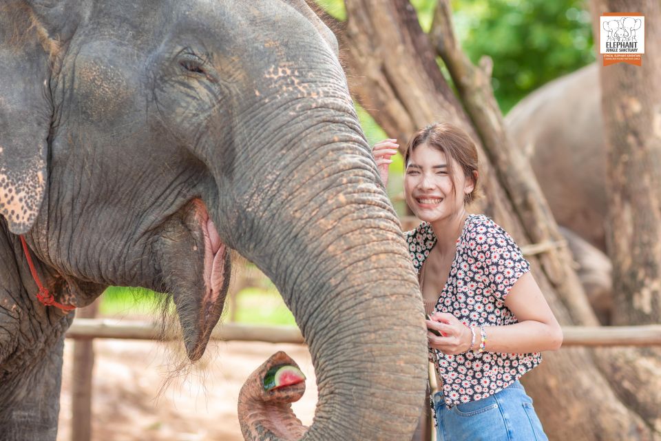 Phuket: Elephant Jungle Sanctuary Ethical Feeding Experience - Entering Elephant Jungle Sanctuary Phuket: Elephant Jungle Cafe check-in