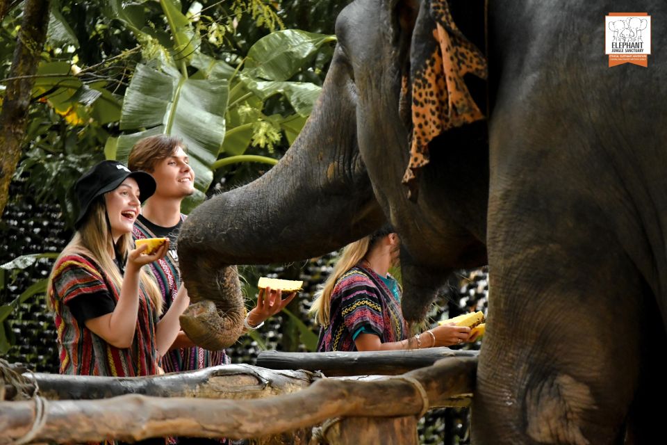 Phuket: Elephant Jungle Sanctuary Ethical Feeding Experience - What you feed: fruit or grass, and why the vet matters
