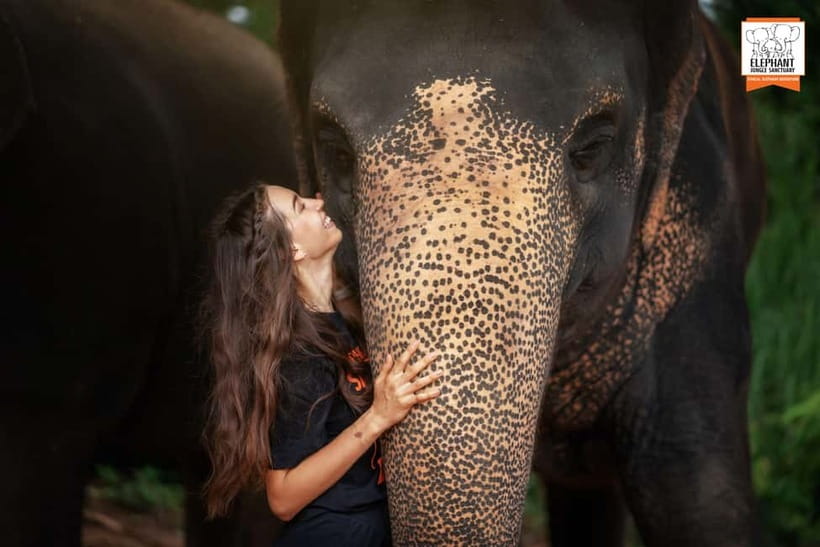 Phuket: Elephant Jungle Sanctuary Ethical Feeding Experience - The guide component: English or Thai, and what to ask
