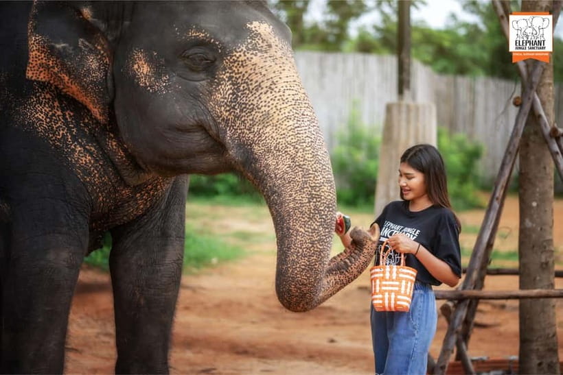 Phuket: Elephant Jungle Sanctuary Ethical Feeding Experience - What to bring so you’re comfortable (and not a bug snack)