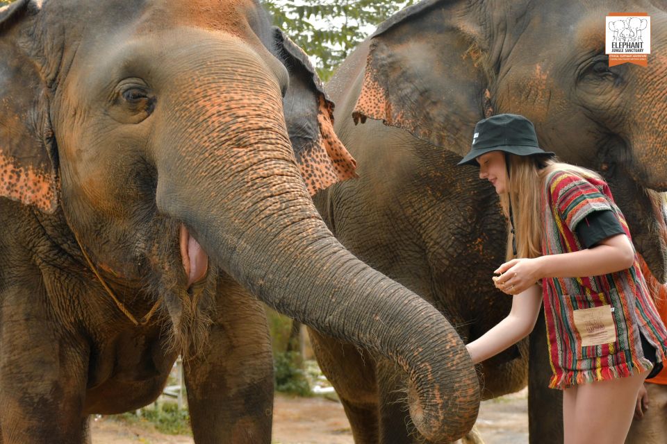 Phuket: Elephant Jungle Sanctuary Ethical Feeding Experience - How the Feed Me program actually fits into your day (1 hour on the clock)