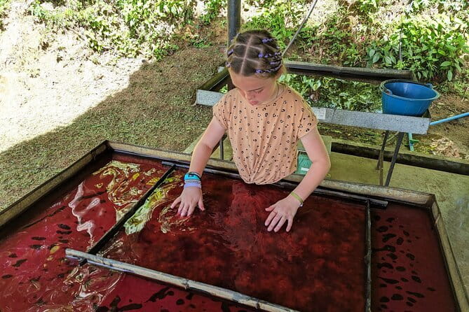 Phuket Elephant Nature Reserve Ethical Sanctuary - What a Half-Day Schedule Feels Like in Phuket Heat