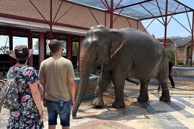 Phuket: Elephant Nature Walk - Guided Tour with Transport - River time: wading, splashing, and cooling off