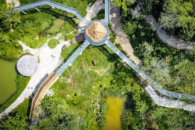 Phuket Elephant Sanctuary Canopy Walkway Tour - Who Will Enjoy This Most in Phuket