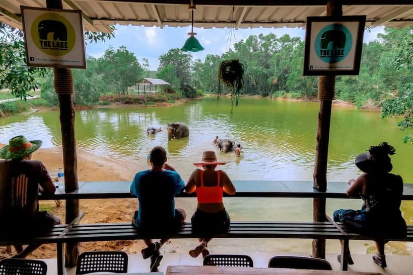 Phuket: Elephant Sanctuary Feed and Bathe Gentle Giants - River Bathing: Watching Gentle Giants Splash and Care for Themselves
