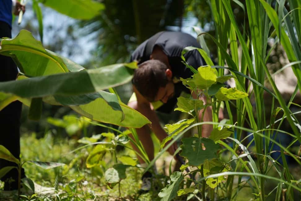 Phuket: Elephant Sanctuary Guided Tour with Hotel Transfers - Who Should Book This (and Who Might Skip)