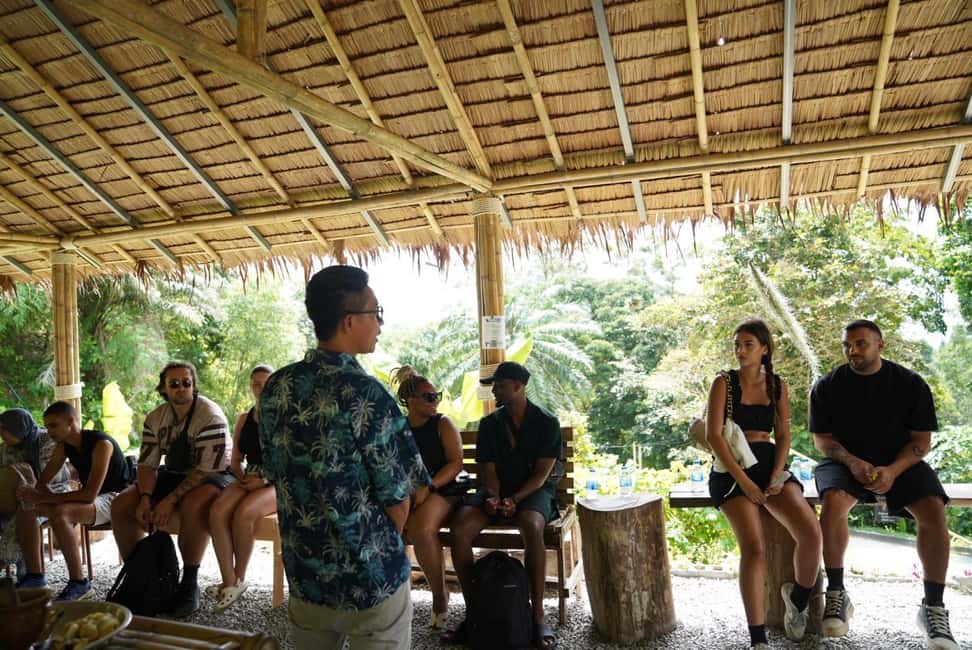 Phuket: Elephant Sanctuary Guided Tour with Hotel Transfers - Why This Phuket Elephant Sanctuary Tour Feels Different