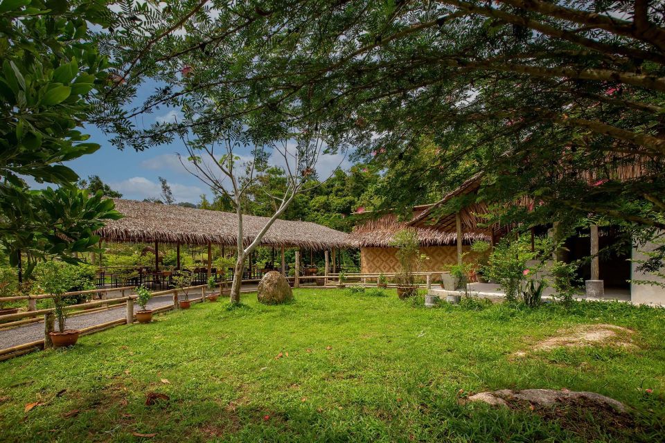Phuket: Elephant Sanctuary Guided Tour with Hotel Transfers - What the Guide Teaches: Elephant Stories and Conservation Efforts
