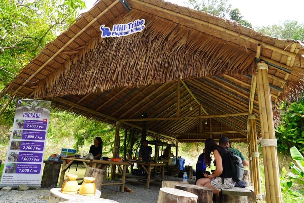 Phuket: Elephant Sanctuary Guided Tour with Hotel Transfers - The 1-Hour Flow: Pickup, Visit, and Back Again