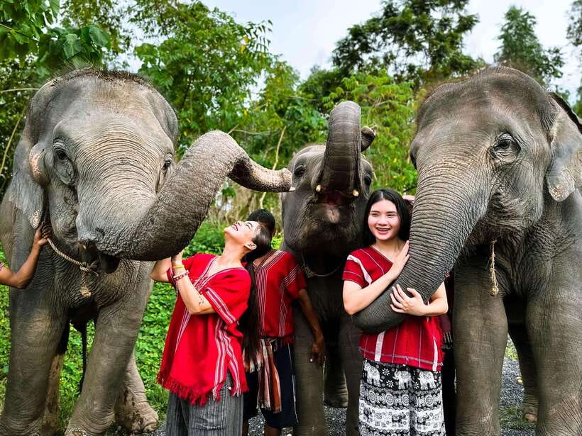 Phuket : Experience feeding and bathing elephants 1.5 Hrs. - Key points before you go